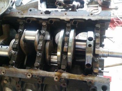 20180512_113039.jpg
