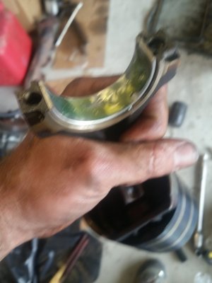 20180512_145135.jpg