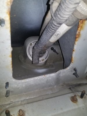 20180517_180658.jpg