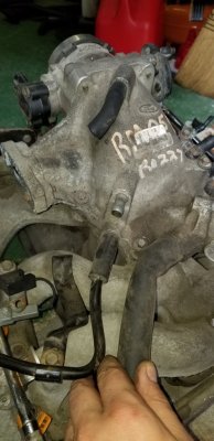 20180627_161020.jpg