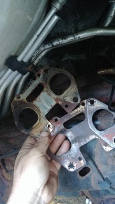 20180901_074458.jpg
