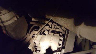 20180903_094516.jpg