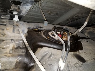 20180927_224253.jpg