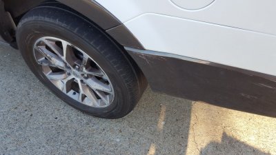 20181004_174217.jpg