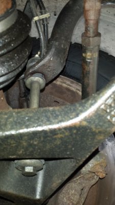 20181008_094742.jpg