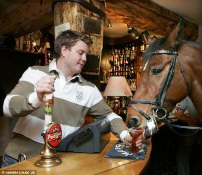 a1horse.jpg