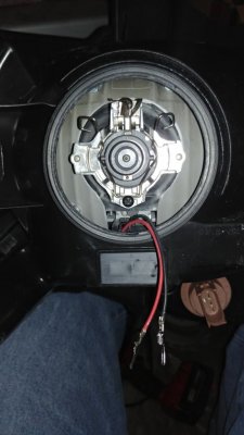 20181213_213953.jpg