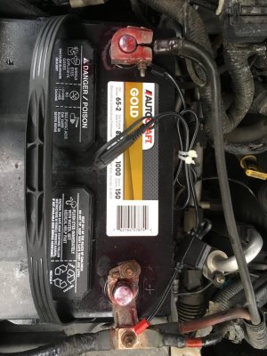 OYXY8828.JPG OYXY8828.JPG
