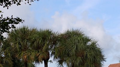 20190202_095618.jpg