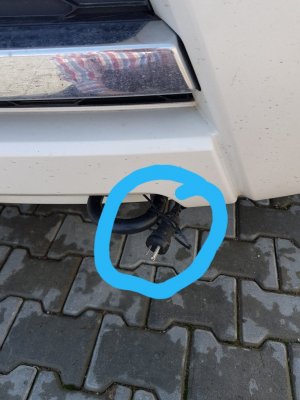 20190406_225044.jpg