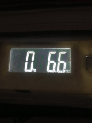 IMG_3850.JPG
