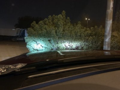 B4DE0F51-CF1D-4E05-A1E7-434AF85761ED.jpeg