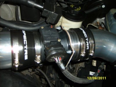 SD531699.jpg
