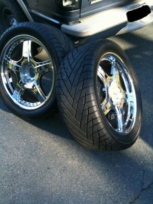 rim2.jpg