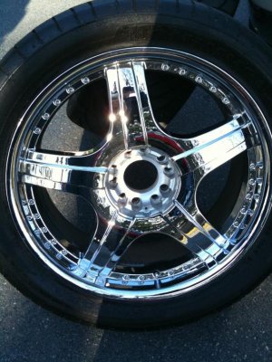 rim1.jpg