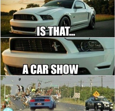 3233E313-9EB3-448F-A96E-9B4BBA57E88F.jpeg