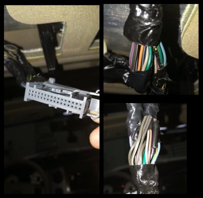 dvd harness.JPG