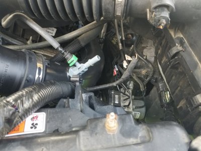 20180811_154410.jpg