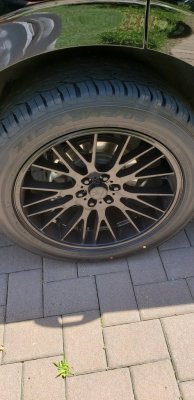 20200801_124726.jpg