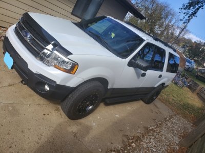 Expedition Picture 2_LI.jpg