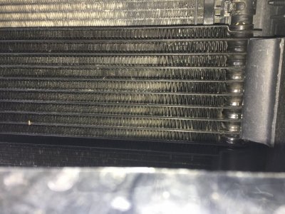 image1.jpeg