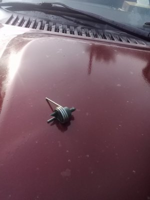 20201118_162823.jpg