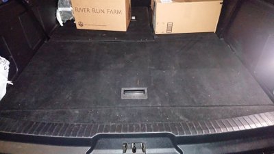 max_interior.JPG