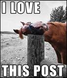 LoveThisPost.jpg LoveThisPost.jpg