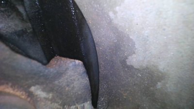 IMG_1563.jpg