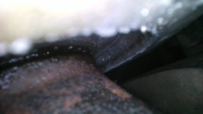 IMG_1569.jpg IMG_1569.jpg