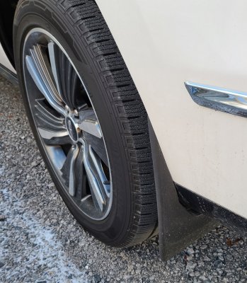 Rear3.jpg