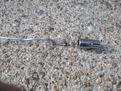 IMG_20210322_180458745.jpg IMG_20210322_180458745.jpg