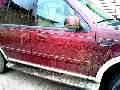 muddy.jpg