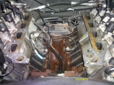 IMAG0048.jpg