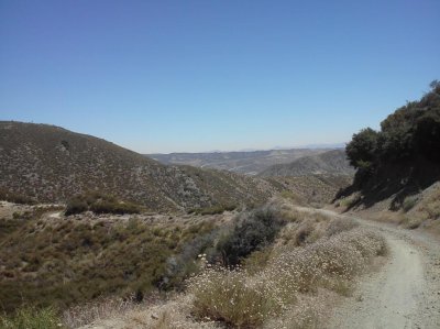 IMG701.jpg