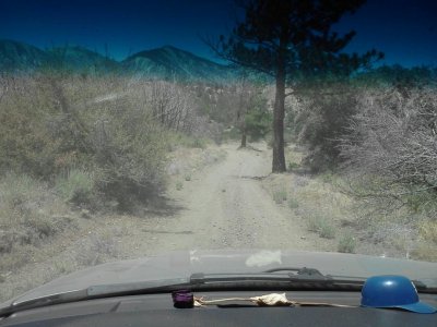 IMG703.jpg