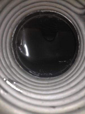 photo 3.jpg