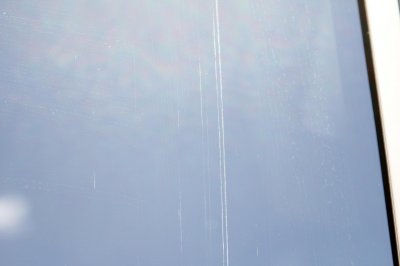 IMG_8181.jpg IMG_8181.jpg