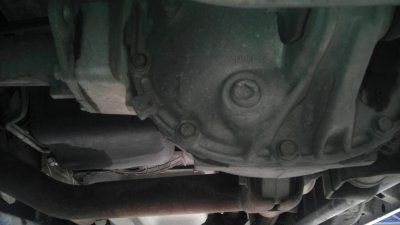IMAG0528.jpg