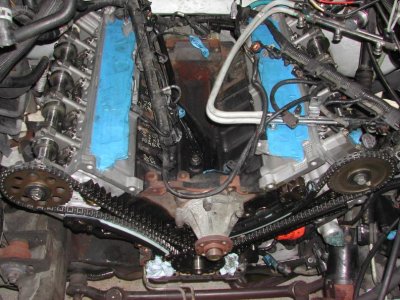 expedition heads 019.jpg