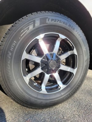 CS 17 18x8.5.jpg
