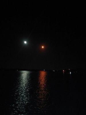 IMG_20210428_234536710.jpg