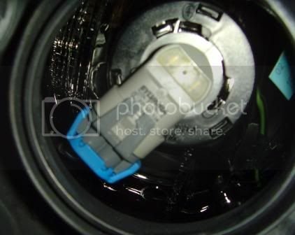 backbulb.jpg