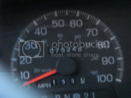 IMG_0040.jpg