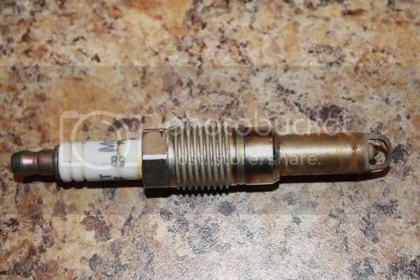 ExpyPlug.jpg