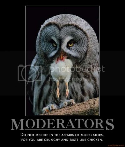 mod.jpg