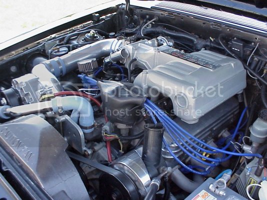 mustang011.jpg