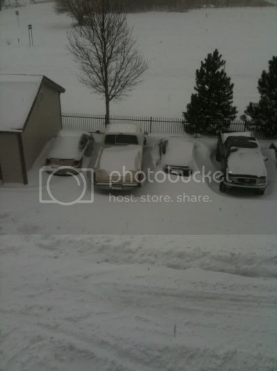 snow2.jpg