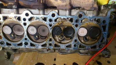 All Valves.jpg
