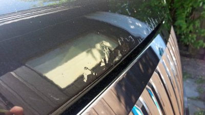 20130607_105452.jpg